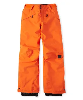 Boy's Anvil Snow Pants - Puffin'S Bill