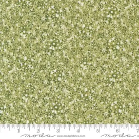 Cotton Fabric CHELSEA GARDEN Lichen 33747 13 by Moda Fabrics