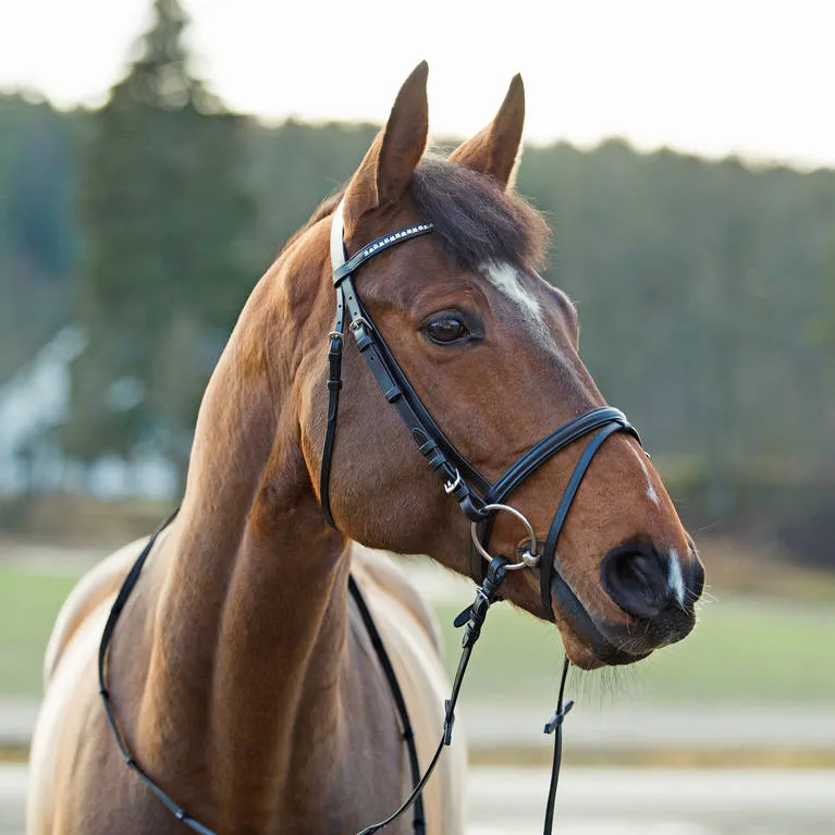 Horze Weston Bridle