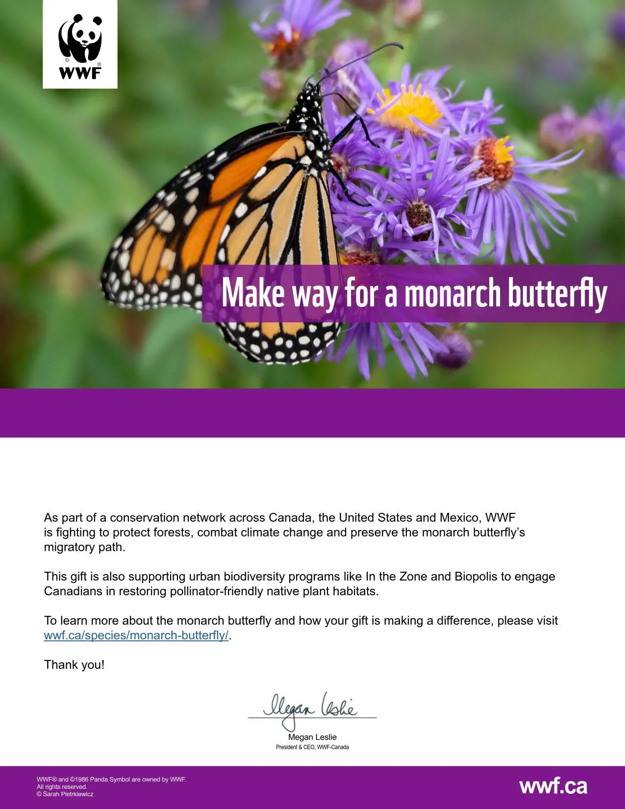 make way for a monarch butterfly