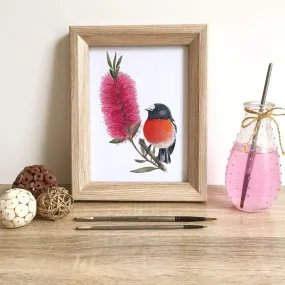 Scarlet Robin Art Print Front