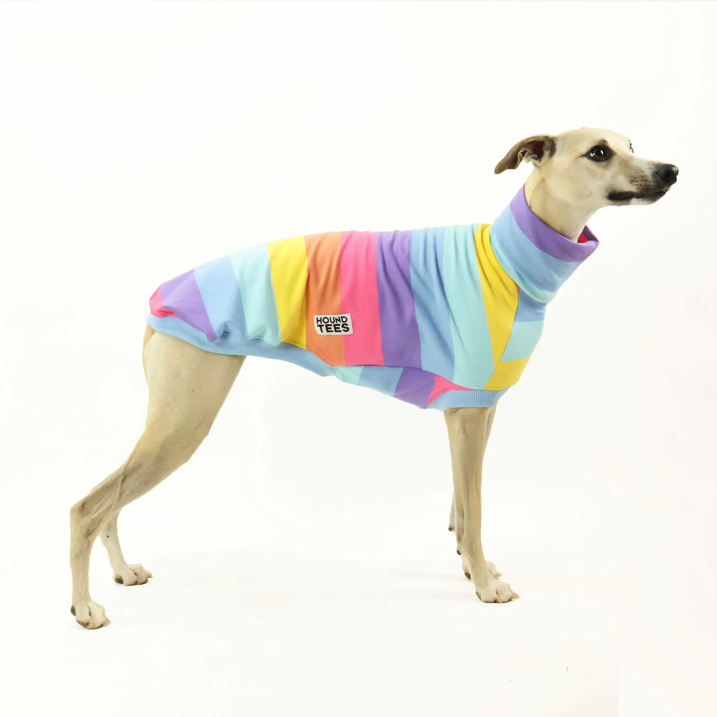 Violet Whippet Sleeveless Tweater